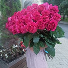 35 роз  Пинк Флойд от 50 см до 80 см
