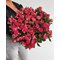 19 кустовых роз Fireworks 70 см
