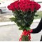 41 роза  Фридом от 40 - 80 см