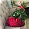 25 красных роз 120 см