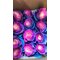 25 синих роз  Tinted  Blue Эквадор