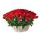 Корзина из 75 красных роз