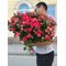 25 кустовых роз Фаерворкс 70 см
