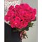 Купить 25 розовых роз 60 см