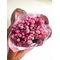25 пионовидных роз Silva Pink