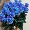 25 синих роз  Tinted  Blue Эквадор