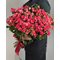 25 кустовых роз Фаерворкс 70 см