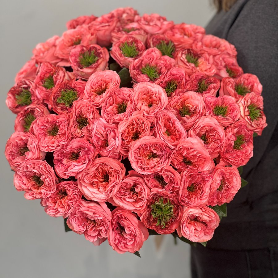 Пионовидная роза Мандарин Экспрешн 49 шт