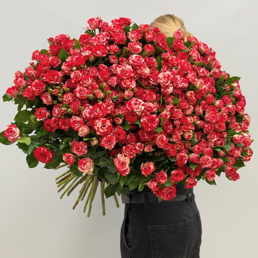 51 кустовая роза Фаервокс