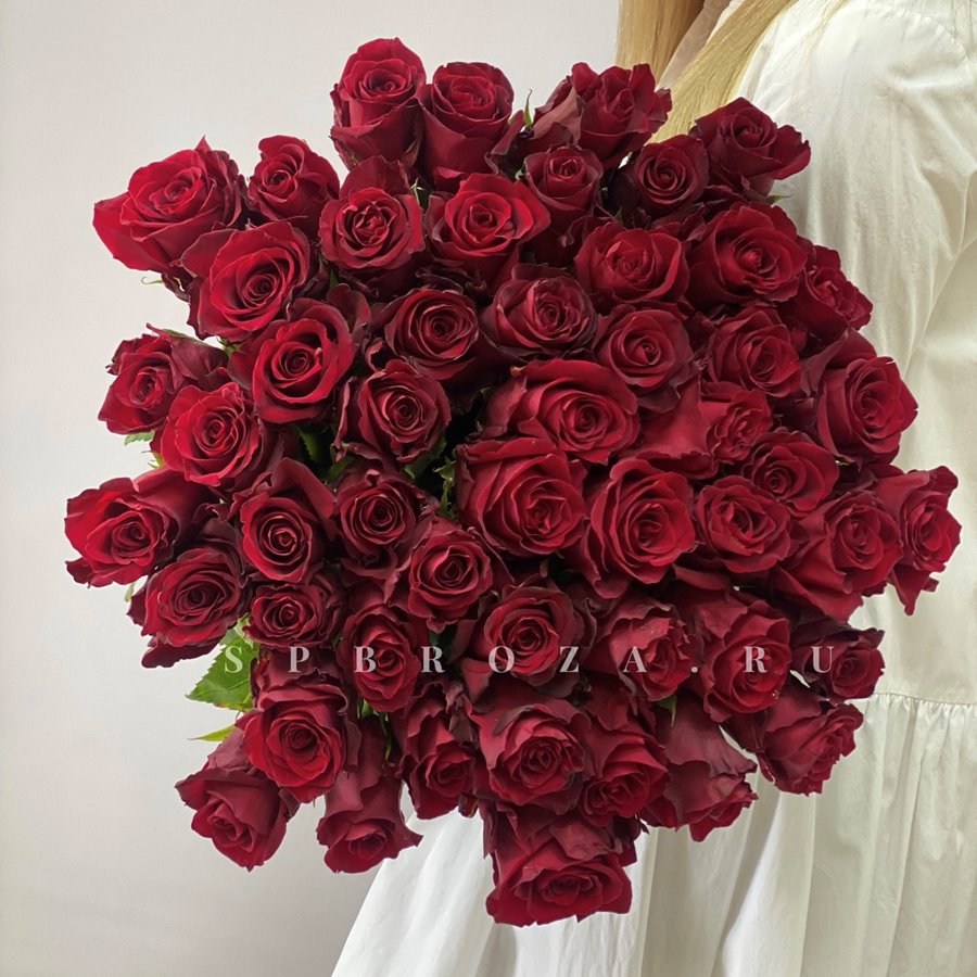 51 БОРДОВАЯ РОЗА «EXPLORER»  50 см