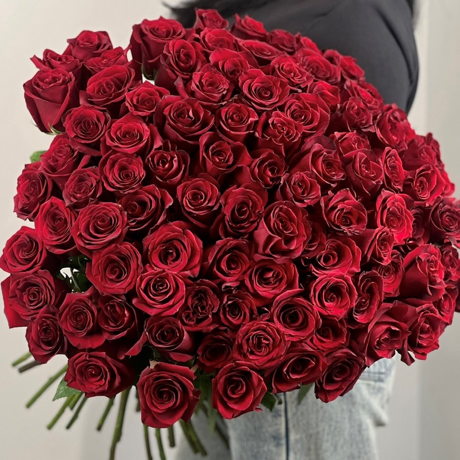 101 роза Эксплорер 60 см