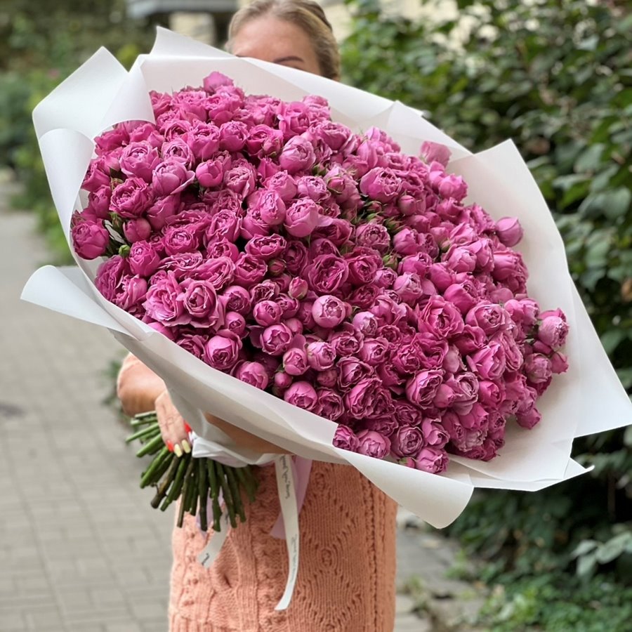 51 роза пионовидная Мисти Баблс