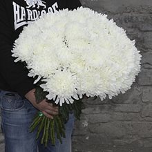 19 хризантем