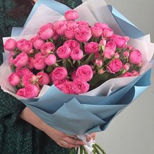 11 пионовидных кустовых роз Жизель (Giselle) в упаковке