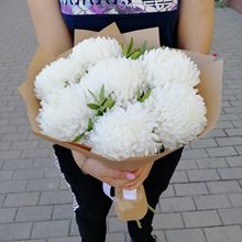 7 белых  хризантем Антонов