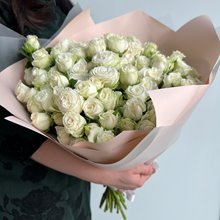 25 пионовидных роз Мисс Бамбастик ( Miss Bombastic)