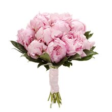 Купить розовые пионы ( премиум)