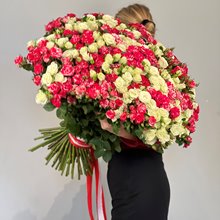 101 роза кустовая микс