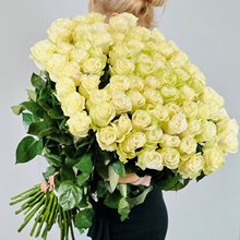 75 белых Мондиаль 80 см