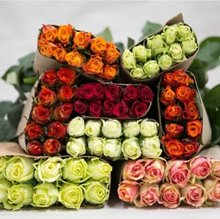 роза 40 см Кения 10 шт ( оптовая пачка)