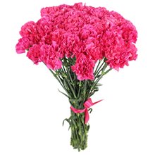 25 розовых  гвоздик