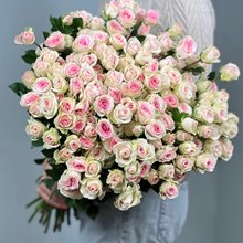 25 кустовых роз Гуд Муд