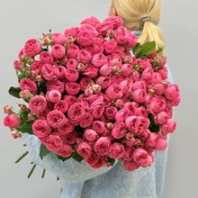 25 пионовидных кустовых роз Жизель (Giselle)