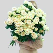 25 роз пионовидных Саммер Роуз кремовая