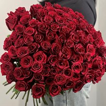 101 роза Эксплорер 60 см