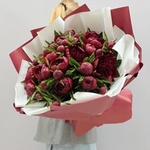 35 пионов Ред Шарм красные