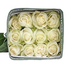25 роз 60 см белые в банче