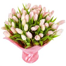 51 розовый тюльпан