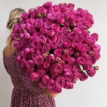 51 пионовидная роза Classic_Sensation