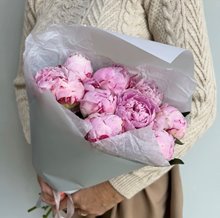 11 пионов Сара Бернар