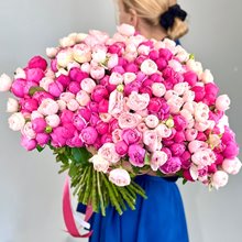 101 пионовидная кустовая роза