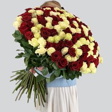 101 роза белая с красной 80 см