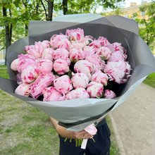 35 пионов Сара Бернар