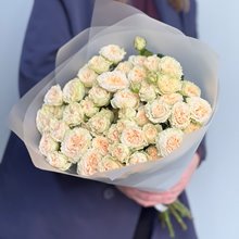 9 пионовидных кустовых Саммер Роуз кремовая