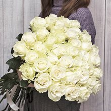 41 белая роза Мондиаль