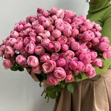 25 пионовидных роз Silva Pink