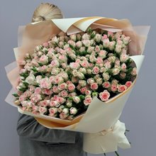 51 кустовая роза Good Mood