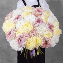 25 хризантем микс