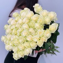 Купиить 51 роза БЕЛАЯ 60 см