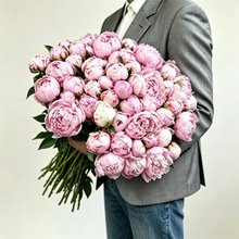 51 пион Сара Бернар