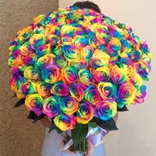 Купить 50 радужных роз