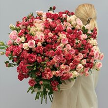 51 кустовая роза микс