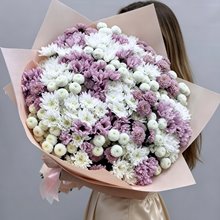 51 кустовая хризантема