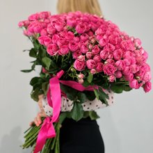 51 пионовидная роза Giselle