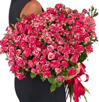 Траурные венки 11 кустовых роз Фаерворкс