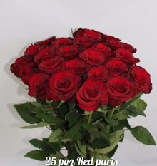 Розы RED PARiS